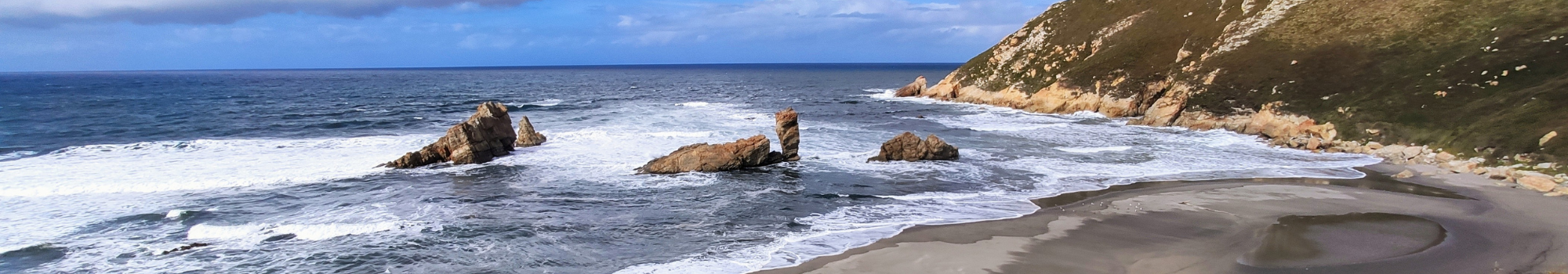 Díganos lo que busca en Castrillon y lo encontraremos. Agencia Paco en Castrillon
